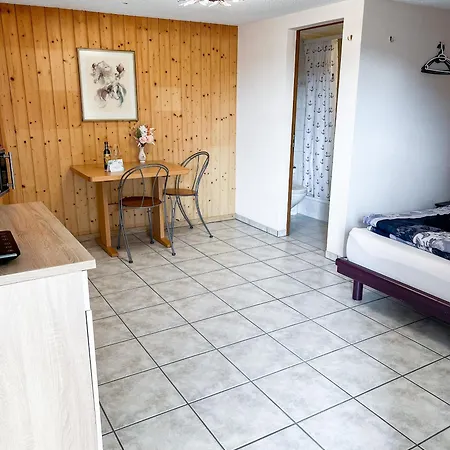 Cozy Studio 10 Minutes Away From Interlaken Ost * Ringgenberg